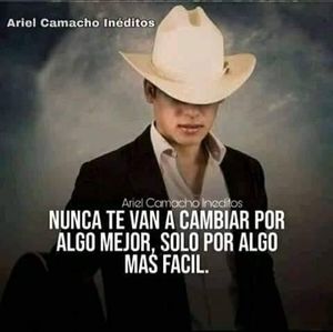 Meet your Posher, Leonardo